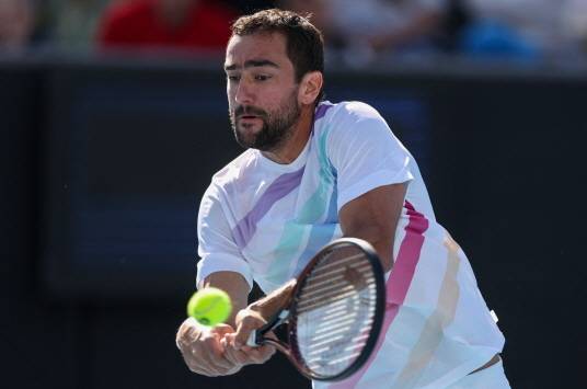 마린 칠리치. AFP 연합뉴스
