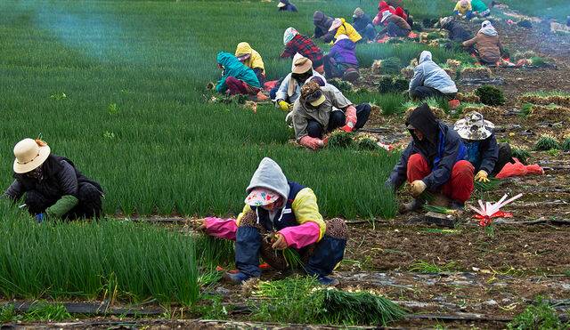 클립아트코리아