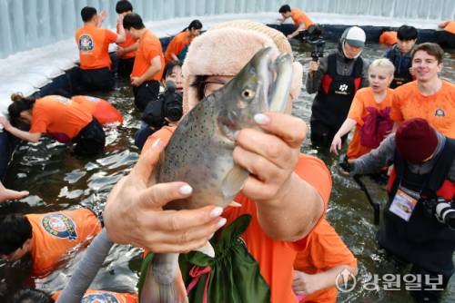 ◇화천산천어축제 맨손잡기 이벤트에 참여한 관광객들이 즐거운 시간을 보내고 있다.