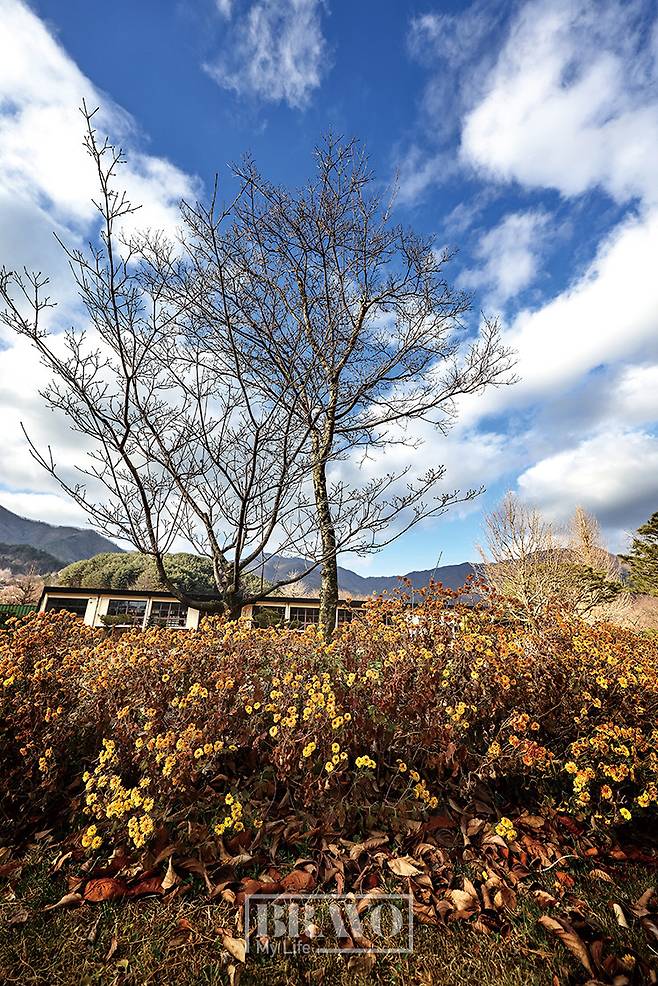 (주민욱 프리랜서)