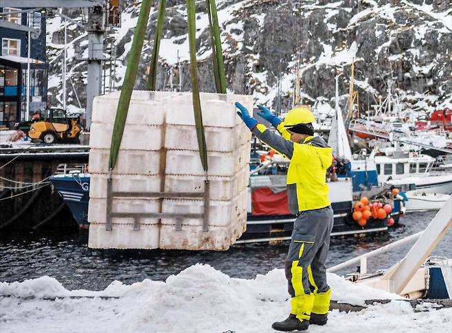 최대 수출품인 수산물 하역  23일 그린란드 누크의 항만 근로자가 생선으로 가득 채워진 상자의 하역 작업을 돕고 있다. 어업은 그린란드 수출액의 90% 이상을 차지하는 핵심 산업이다./AFP 연합뉴스