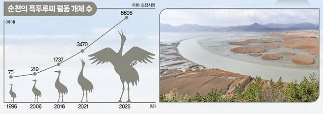 순천의 흑두루미 월동 개체수와 순천만 갯벌 갈대 습지. 순천시청 제공