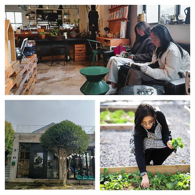 제주 서귀포시 표선면 세화리에 위치한 북살롱 이마고(아래 왼쪽). 지난 11일 해거름, 추위를 뚫고 예비 여중생 두명이 책방을 찾아와 소설을 읽고 있다(위). 이날 악천후로 책방은 준비한 행사도 취소했던 상황이다. 김채수 이마고 대표가 책방 옆 부지에 직접 가꾸는 텃밭(이마고 제공 사진). 커뮤니티 활동의 장소이기도 하다. 글·사진 임인택 기자 imit@hani.co.kr