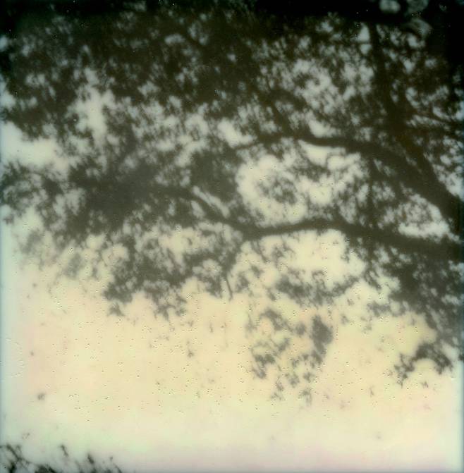 우포, 2010. ©안웅철