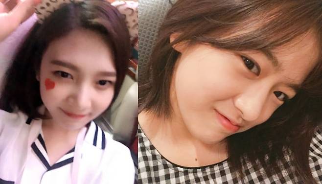 출처=레드벨벳 조이, 아이브 안유진 SNS