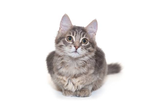 기사와 직접적인 관련 없음.