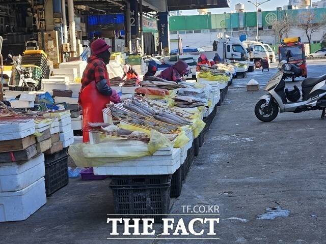 기후변화로 인한 어획량 감소와 환율 급등, 어획량 쿼터 감축 등으로 국내산과 수입산 가릴 것 없이 수산물 가격이 전반적으로 올랐다. /김명주 기자