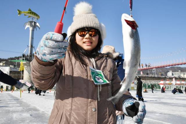 ▲ 1월 마지막 휴일인 25일 화천산천어축제장을 찾은 외국인 관광객들이 전용낚시터에서 산천어 얼음낚시를 즐기고 있다.