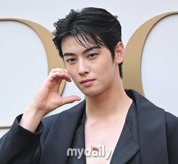 재계 저승사자 국세청 조사 4국 등판…차은우 200억 추징에 대응 쉽지 않을 것[MD이슈]