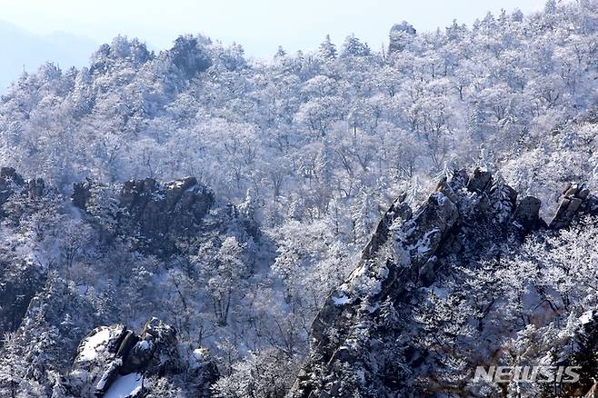 [인제=뉴시스] 김경목 기자 = 설악산은 오를수록 빼어난 절경으로 보답한다. 사진은 지난 17일 오후 강원 인제군 설악산 국립공원 한계령의 설경. 2023.02.18. photo31@newsis.com