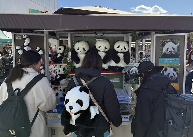 25일 일본 도쿄 우에노동물원 내 기념품샵에서 입장객들이 판다 인형, 티셔츠 등을 살펴보고 있다. 도쿄=유태영 특파원