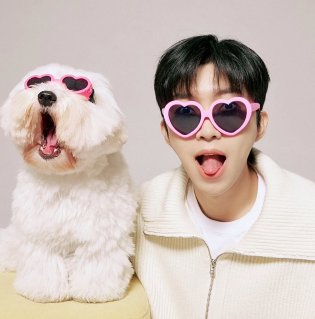 임영웅 사회관계망서비스(SNS)