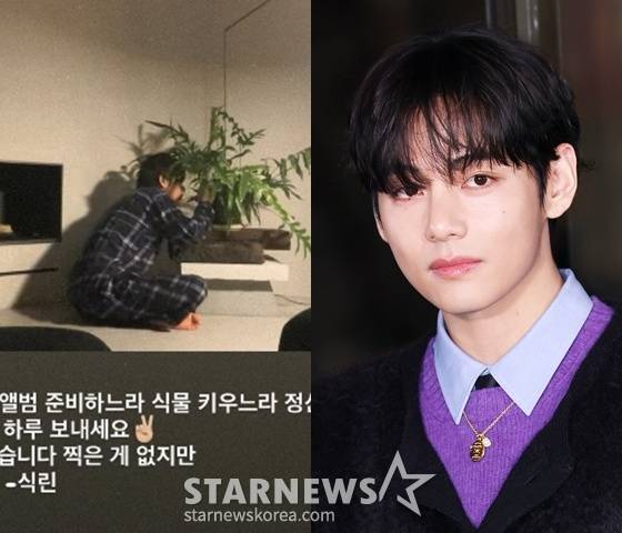 방탄소년단 뷔, '식린이' 된 의외의 근황 앨범 준비+식물 키우느라 정신 많이 없어