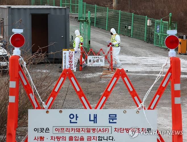 강릉 양돈농가서 아프리카돼지열병 발생 (강릉=연합뉴스) 양지웅 기자 = 17일 아프리카돼지열병(ASF) 발생이 확인된 강원 강릉시 한 양돈농가에서 방역 관계자들이 출입을 통제하고 있다. 2026.1.17 yangdoo@yna.co.kr