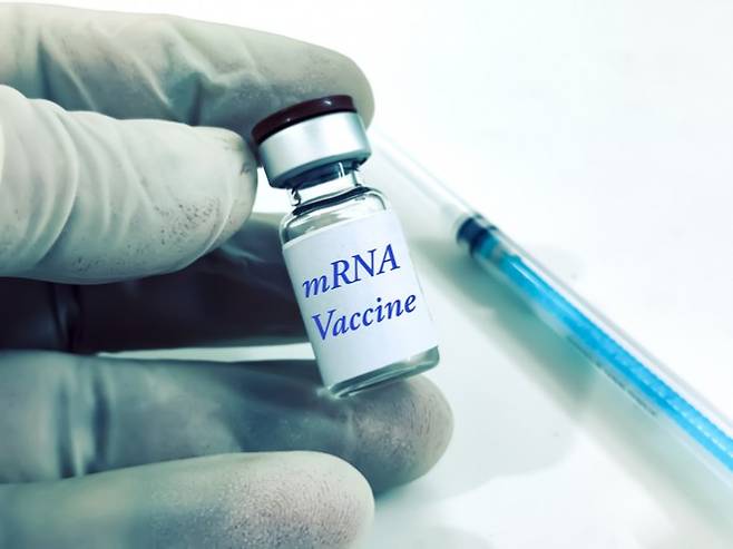 메신저리보핵산(mRNA)은 생명체의 유전 정보가 기록된 디옥시리보핵산(DNA)의 일부가 필요에 따라 복사된 유전 물질이다. mRNA는 백신으로 활용돼 인류가 신종 코로나바이러스감염증(코로나19)을 극복하는 데 활약했다. 게티이미지뱅크 제공
