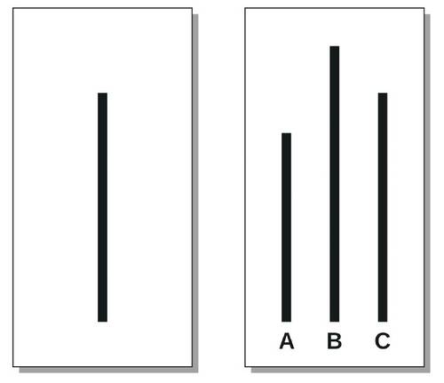 솔로몬 애쉬의 동조성 실험에 사용된 카드. 왼쪽 기준선과 같은 크기의 선을 찾아야 한다. 너무나 당연하게도 정답은 ‘C’다. 그런데 참 이상한 현상이 일어난다.