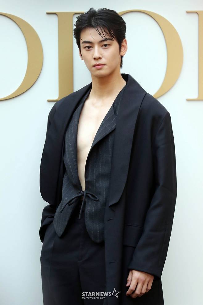 배우 차은우 /사진=임성균