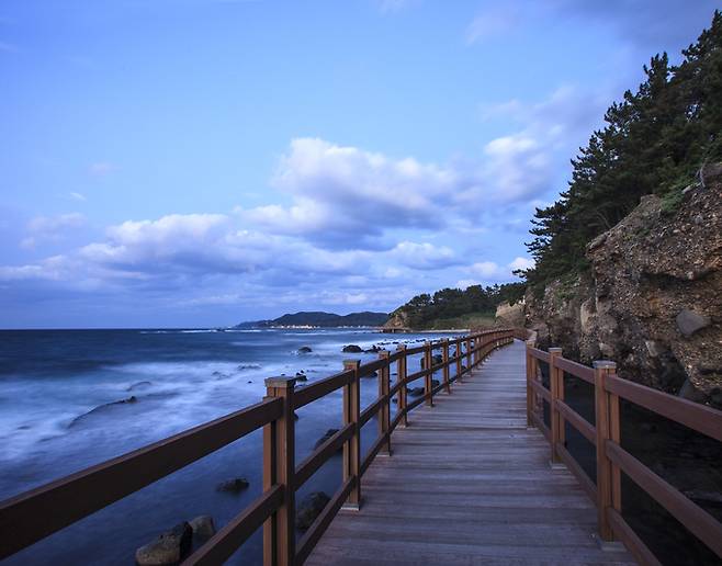 ▲ 호미반도해안둘레길-2 입선작(정주식)