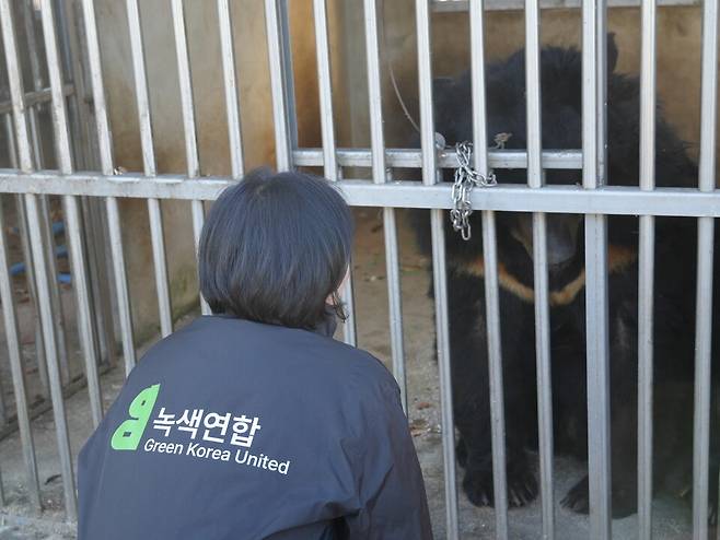 녹색연합은 사육곰을 보호소로 옮기는 데 힘쓰고 있다. (사진 녹색연합)