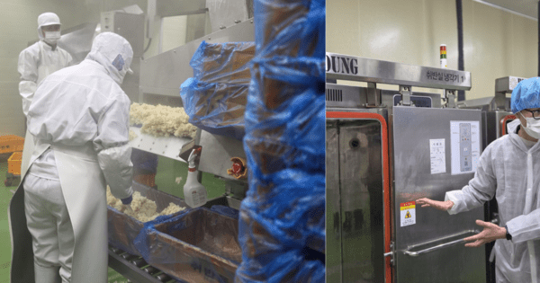 밥알이 잘 뒤섞인 갓 지은 밥을 판에 옮겨 담고 있다(좌), 판에 옮겨진 밥은 곧장 진공 상태의 냉각기 안에 들어가 30도까지 식는다(우) / 사진=정유진 기자