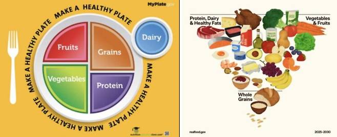 2010~2015 제7차 DGA에 공식 발표됐던 '마이 플레이트(my plate)'(왼쪽)와 2025~2030 제10차 DGA 개정안에 제시된 '식품 피라미드' 이미지. 사진=미국 농무부(USDA) 자료