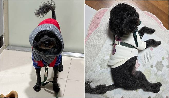 적응력이 뛰어난 두유의 임시 보호 당시 모습(동행 제공) ⓒ 뉴스1