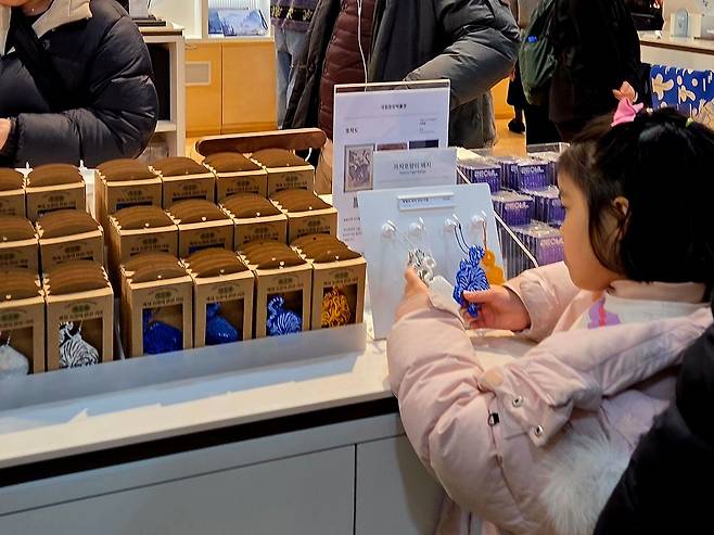 지난 23일 서울 용산 국립중앙박물관 상품관이 붐비는 가운데, 한 어린이가 ‘까치호랑이’ 키링을 살펴보고 있다. 문소영 기자