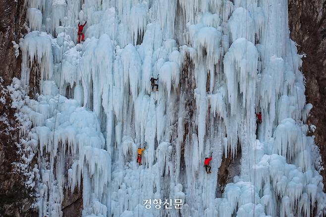 클라이머들이 강원도 원주의 한 빙벽을 오르고 있다. 2026.1.11