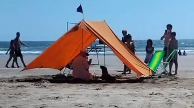 불볕더위를 피해 해수욕장 그늘막에 들어간 새끼 바다사자. 유튜브 캡처