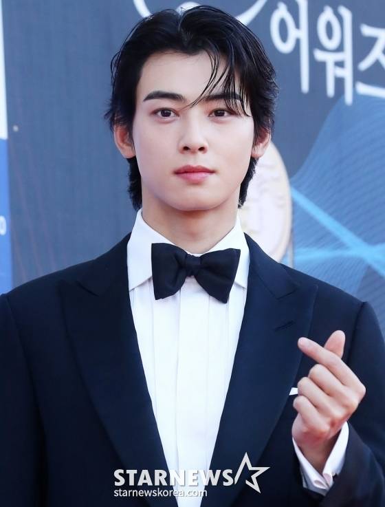 아스트로 차은우 /사진=스타뉴스