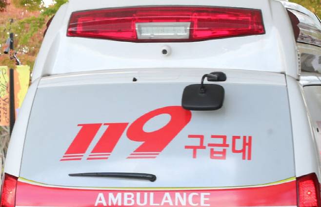 119 구급차. 기사의 이해를 돕기 위한 이미지 (사진=뉴스1)