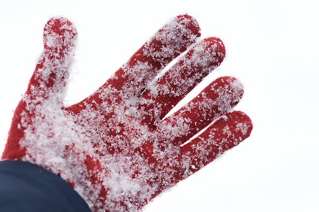 매일 갈아입는 속옷이나 양말과 달리 목도리와 장갑은 겨울이 끝날 때까지도 빨지 않는 경우가 많다. 사진=게티이미지뱅크