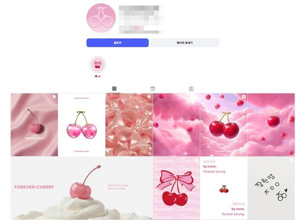 ⓒ'포에버:체리(FOREVER:CHERRY)' SNS 캡처