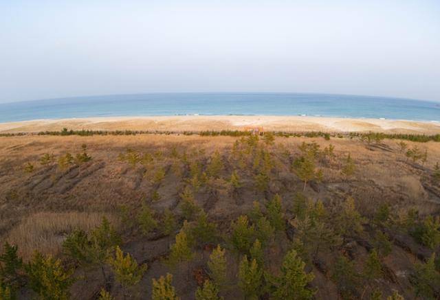 초록빛 송지호쉼터와 푸른빛 송지호해변이 조화로운 경관을 자아내고 있다.