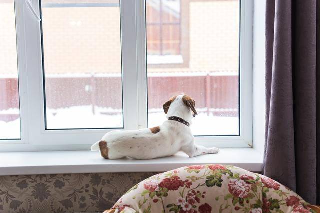 게티이미지뱅크