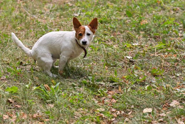게티이미지뱅크