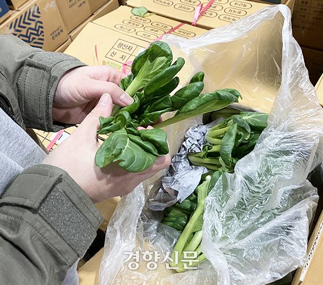 동화청과 경매사 허은정 과장이 지난 20일 오후 서울 송파구 가락시장에서 경매 준비를 하고 있다. 김연서 인턴기자