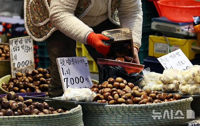 [서울=뉴시스] 최진석 기자 = 사진은 지난 25일 서울 청량리 농수산물시장에서 상인이 밤을 정리하고 있는 모습. 2026.01.25. myjs@newsis.om