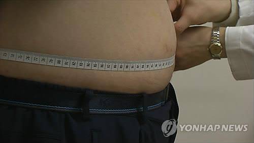 고도 비만 [연합뉴스 자료사진. 재판매 및 DB 금지]