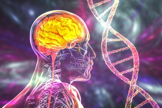 건강한 장수에는 유전적 요인보다 생활 습관이 미치는 영향이 더욱 큰 것으로 나타났다. 클립아트코리아