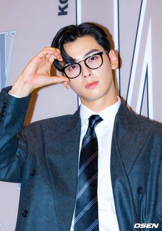 국방홍보원도 차은우 영상삭제..'.200억' 고액 탈세 의혹 여파