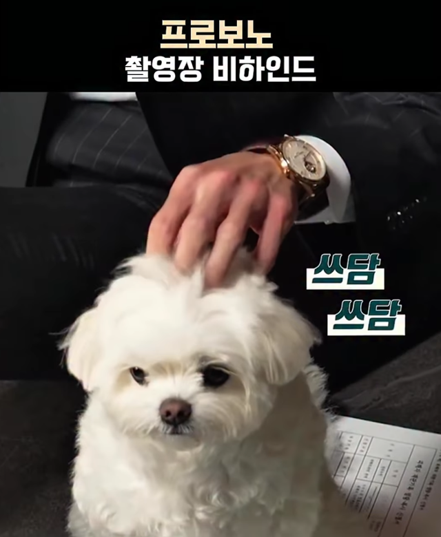 제리를 쓰다듬는 손은 바로바로... 정경호 배우! 보호자 제공