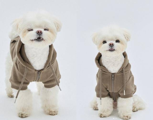 : 내 후드집업 핏 어때? 보호자 제공