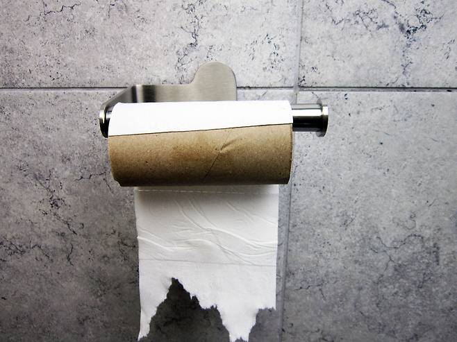 화장실 휴지 [123RF]
