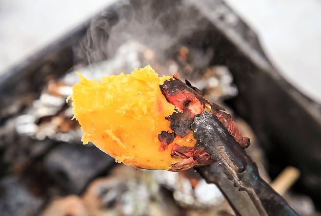 고구마는 탄수화물·단백질·지방을 고루 갖춘 알칼리성 식품이다. 사진= 클립아트코리아 제공