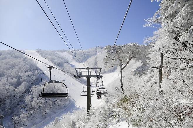 ▲ 부영그룹 무주덕유산리조트 설천 상단 슬로프 전경. /사진제공=부영그룹