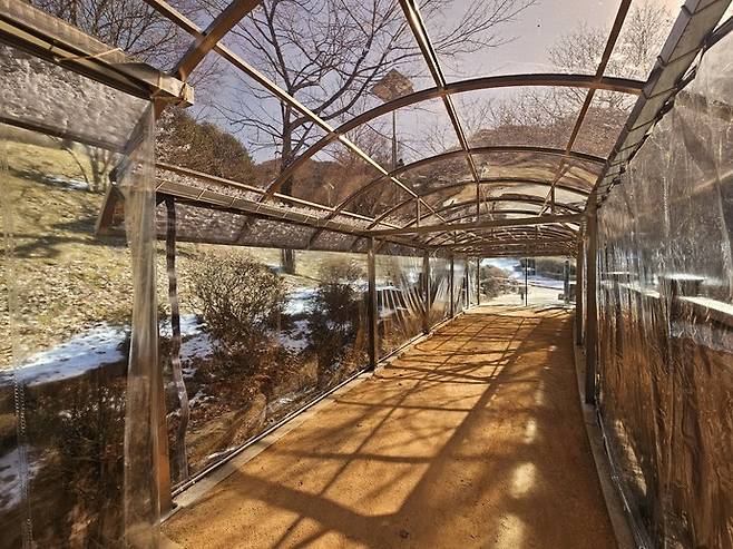 병목안시민공원 맨발산책길에 설치한 지붕 캐노피와 방한 비닐막. 사진=안양시