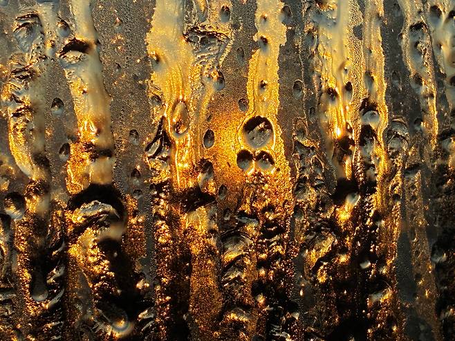 겨울 아침의 창문 풍경. 살얼음 너머로 떠오르는 해가 빛의 알갱이들을 만들어낸다. /정수윤 작가·번역가