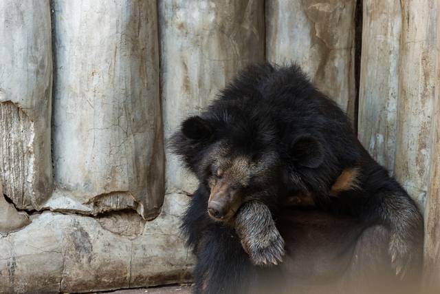 게티이미지뱅크