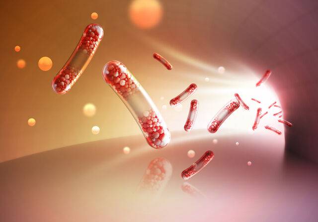 프로바이오틱스를 중심으로 다양한 바이오틱스 개념이 등장했다. 클립아트코리아